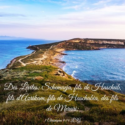 Picture 03 - 1 Chroniques 9:14 LSG - Des Lévites: Schemaeja, fils de Haschub, fils - Bible Verse Picture
