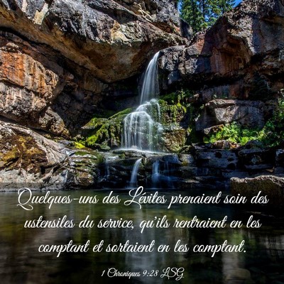 Picture 03 - 1 Chroniques 9:28 LSG - Quelques-uns des Lévites prenaient soin des - Bible Verse Picture