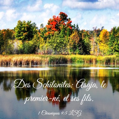 Picture 03 - 1 Chroniques 9:5 LSG - Des Schilonites: Asaja, le premier-né, et ses - Bible Verse Picture