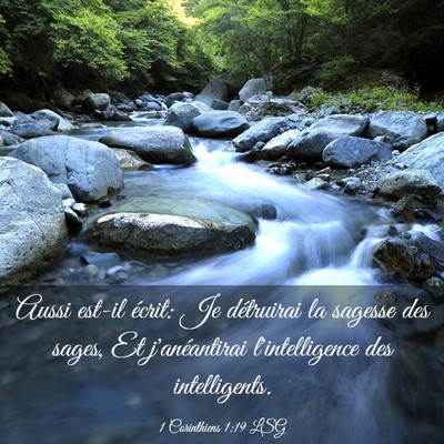 Picture 03 - 1 Corinthiens 1:19 LSG - Aussi est-il écrit: Je détruirai la sagesse des - Bible Verse Picture