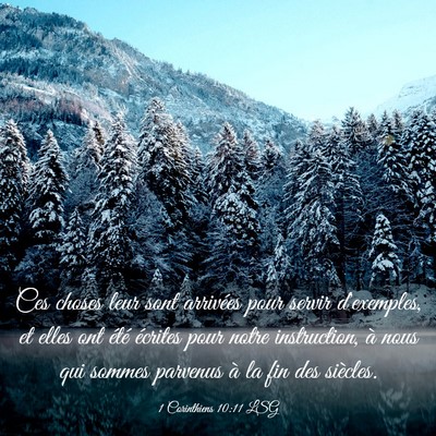Picture 03 - 1 Corinthiens 10:11 LSG - Ces choses leur sont arrivées pour servir - Bible Verse Picture