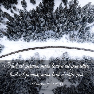 Picture 03 - 1 Corinthiens 10:23 LSG - Tout est permis, mais tout n'est pas utile; tout - Bible Verse Picture