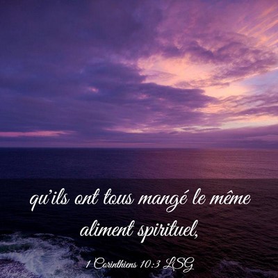 Picture 03 - 1 Corinthiens 10:3 LSG - qu'ils ont tous mangé le même aliment - Bible Verse Picture