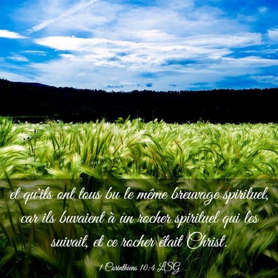 Picture 03 - 1 Corinthiens 10:4 LSG - et qu'ils ont tous bu le même breuvage - Bible Verse Picture