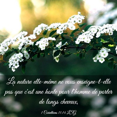 Picture 03 - 1 Corinthiens 11:14 LSG - La nature elle-même ne vous enseigne-t-elle pas - Bible Verse Picture