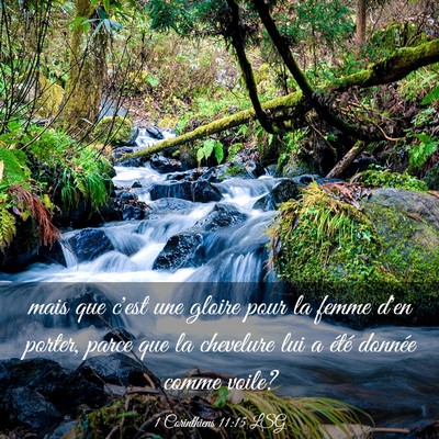 Picture 03 - 1 Corinthiens 11:15 LSG - mais que c'est une gloire pour la femme d'en - Bible Verse Picture