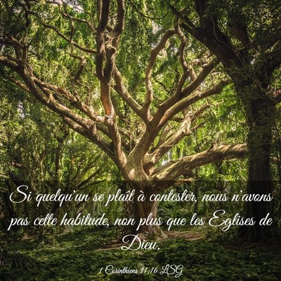 Picture 03 - 1 Corinthiens 11:16 LSG - Si quelqu'un se plaît à contester, nous n'avons - Bible Verse Picture