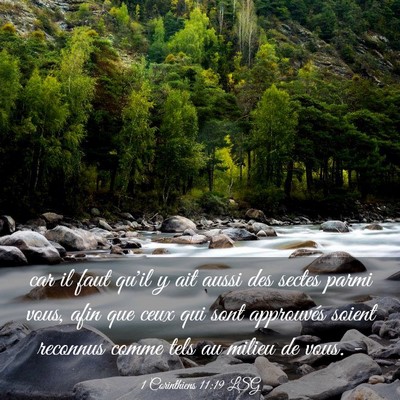 Picture 03 - 1 Corinthiens 11:19 LSG - car il faut qu'il y ait aussi des sectes parmi - Bible Verse Picture