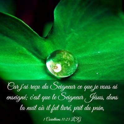 Picture 03 - 1 Corinthiens 11:23 LSG - Car j'ai reçu du Seigneur ce que je vous ai - Bible Verse Picture