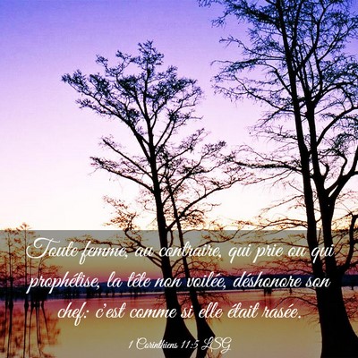 Picture 03 - 1 Corinthiens 11:5 LSG - Toute femme, au contraire, qui prie ou qui - Bible Verse Picture