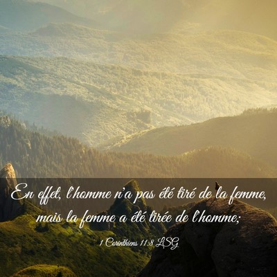 Picture 03 - 1 Corinthiens 11:8 LSG - En effet, l'homme n'a pas été tiré de la - Bible Verse Picture
