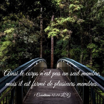 Picture 03 - 1 Corinthiens 12:14 LSG - Ainsi le corps n'est pas un seul membre, mais il - Bible Verse Picture