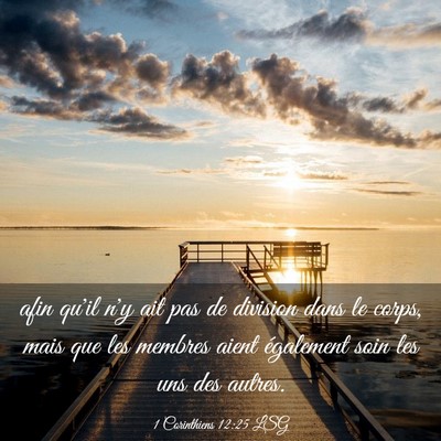 Picture 03 - 1 Corinthiens 12:25 LSG - afin qu'il n'y ait pas de division dans le corps, - Bible Verse Picture