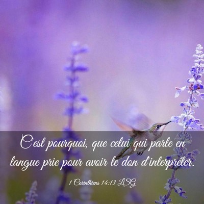 Picture 03 - 1 Corinthiens 14:13 LSG - C'est pourquoi, que celui qui parle en langue - Bible Verse Picture