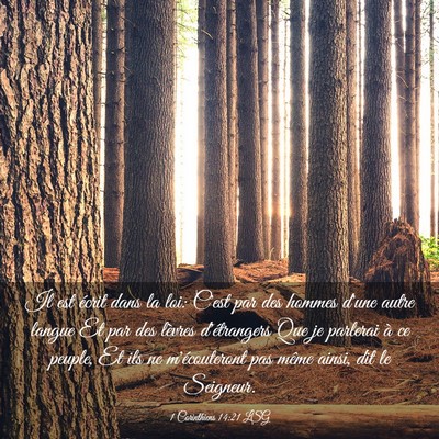 Picture 03 - 1 Corinthiens 14:21 LSG - Il est écrit dans la loi: C'est par des hommes - Bible Verse Picture