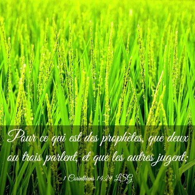 Picture 03 - 1 Corinthiens 14:29 LSG - Pour ce qui est des prophètes, que deux ou trois - Bible Verse Picture