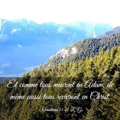 Picture 03 - 1 Corinthiens 15:22 LSG - Et comme tous meurent en Adam, de même aussi - Bible Verse Picture