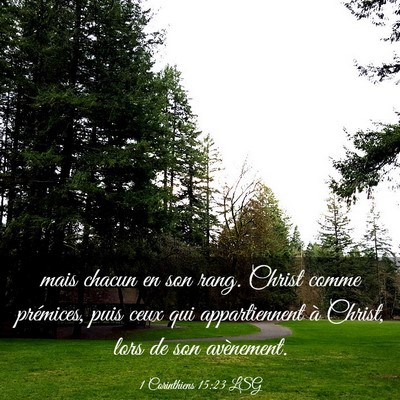Picture 03 - 1 Corinthiens 15:23 LSG - mais chacun en son rang. Christ comme prémices, - Bible Verse Picture