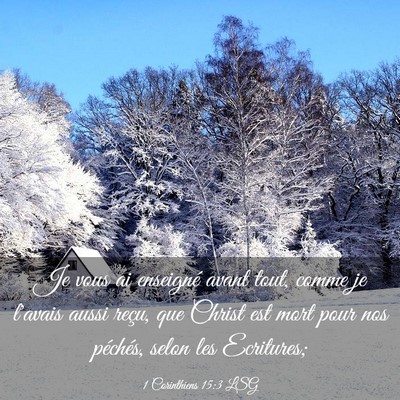Picture 03 - 1 Corinthiens 15:3 LSG - Je vous ai enseigné avant tout, comme je l'avais - Bible Verse Picture