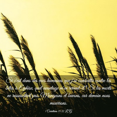 Picture 03 - 1 Corinthiens 15:32 LSG - Si c'est dans des vues humaines que j'ai combattu - Bible Verse Picture