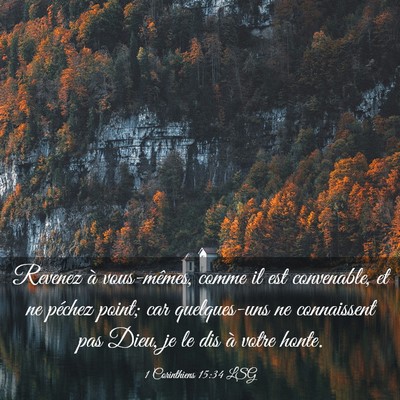 Picture 03 - 1 Corinthiens 15:34 LSG - Revenez à vous-mêmes, comme il est convenable, - Bible Verse Picture
