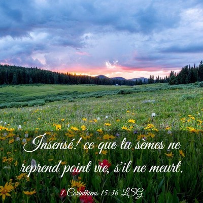 Picture 03 - 1 Corinthiens 15:36 LSG - Insensé! ce que tu sèmes ne reprend point vie, - Bible Verse Picture