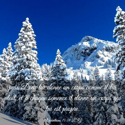Picture 03 - 1 Corinthiens 15:38 LSG - puis Dieu lui donne un corps comme il lui plaît, - Bible Verse Picture