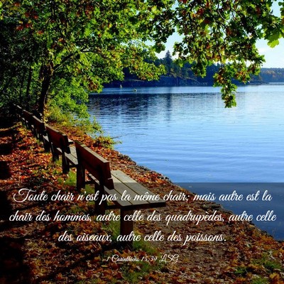 Picture 03 - 1 Corinthiens 15:39 LSG - Toute chair n'est pas la même chair; mais autre - Bible Verse Picture