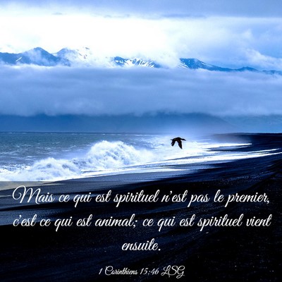 Picture 03 - 1 Corinthiens 15:46 LSG - Mais ce qui est spirituel n'est pas le premier, - Bible Verse Picture