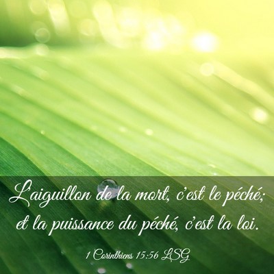 Picture 03 - 1 Corinthiens 15:56 LSG - L'aiguillon de la mort, c'est le péché; et la - Bible Verse Picture