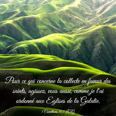 Picture 03 - 1 Corinthiens 16:1 LSG - Pour ce qui concerne la collecte en faveur des - Bible Verse Picture