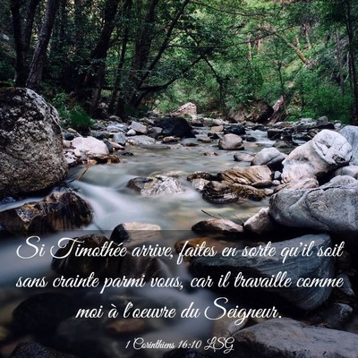 Picture 03 - 1 Corinthiens 16:10 LSG - Si Timothée arrive, faites en sorte qu'il soit - Bible Verse Picture