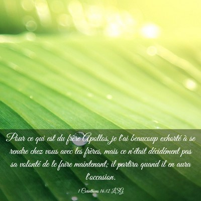 Picture 03 - 1 Corinthiens 16:12 LSG - Pour ce qui est du frère Apollos, je l'ai - Bible Verse Picture