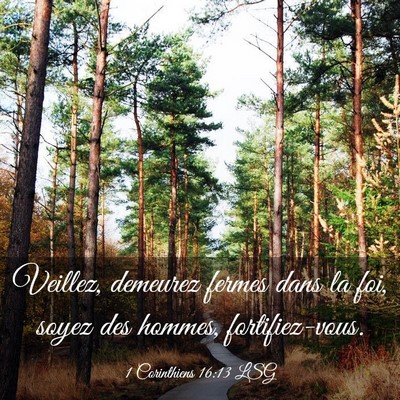 Picture 03 - 1 Corinthiens 16:13 LSG - Veillez, demeurez fermes dans la foi, soyez des - Bible Verse Picture