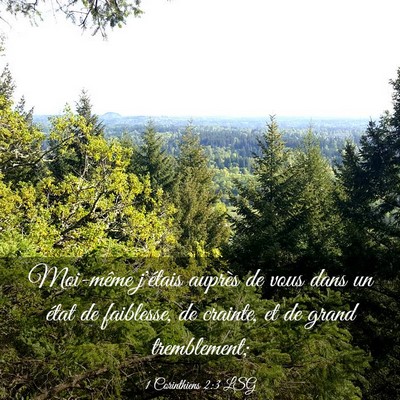 Picture 03 - 1 Corinthiens 2:3 LSG - Moi-même j'étais auprès de vous dans un état - Bible Verse Picture