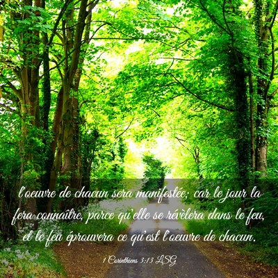 Picture 03 - 1 Corinthiens 3:13 LSG - l'oeuvre de chacun sera manifestée; car le jour - Bible Verse Picture