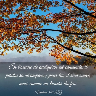 Picture 03 - 1 Corinthiens 3:15 LSG - Si l'oeuvre de quelqu'un est consumée, il perdra - Bible Verse Picture