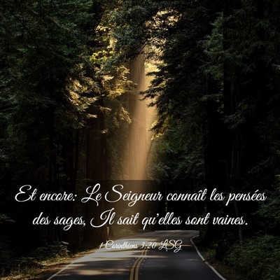 Picture 03 - 1 Corinthiens 3:20 LSG - Et encore: Le Seigneur connaît les pensées des - Bible Verse Picture