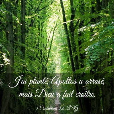 Picture 03 - 1 Corinthiens 3:6 LSG - J'ai planté, Apollos a arrosé, mais Dieu a fait - Bible Verse Picture