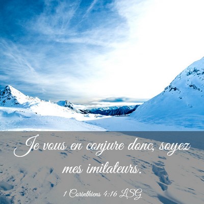 Picture 03 - 1 Corinthiens 4:16 LSG - Je vous en conjure donc, soyez mes - Bible Verse Picture