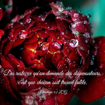 Picture 03 - 1 Corinthiens 4:2 LSG - Du reste, ce qu'on demande des dispensateurs, - Bible Verse Picture