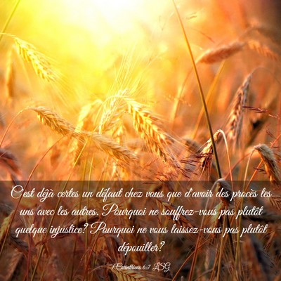 Picture 03 - 1 Corinthiens 6:7 LSG - C'est déjà certes un défaut chez vous que - Bible Verse Picture