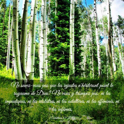 Picture 03 - 1 Corinthiens 6:9 LSG - Ne savez-vous pas que les injustes n'hériteront - Bible Verse Picture