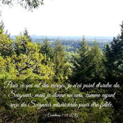 Picture 03 - 1 Corinthiens 7:25 LSG - Pour ce qui est des vierges, je n'ai point - Bible Verse Picture