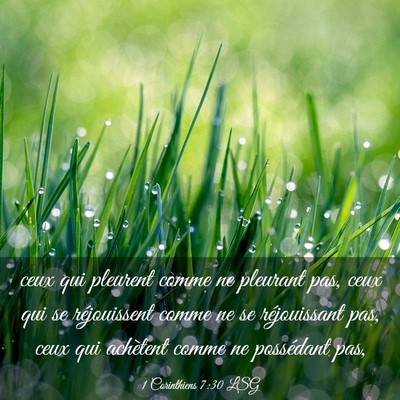 Picture 03 - 1 Corinthiens 7:30 LSG - ceux qui pleurent comme ne pleurant pas, ceux qui - Bible Verse Picture