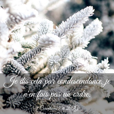Picture 03 - 1 Corinthiens 7:6 LSG - Je dis cela par condescendance, je n'en fais pas - Bible Verse Picture