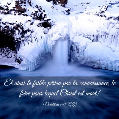 Picture 03 - 1 Corinthiens 8:11 LSG - Et ainsi le faible périra par ta connaissance, - Bible Verse Picture