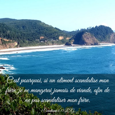 Picture 03 - 1 Corinthiens 8:13 LSG - C'est pourquoi, si un aliment scandalise mon - Bible Verse Picture
