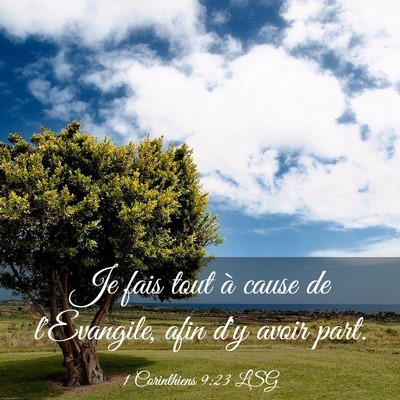 Picture 03 - 1 Corinthiens 9:23 LSG - Je fais tout à cause de l'Evangile, afin d'y - Bible Verse Picture