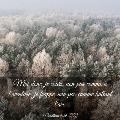 Picture 03 - 1 Corinthiens 9:26 LSG - Moi donc, je cours, non pas comme à l'aventure; - Bible Verse Picture